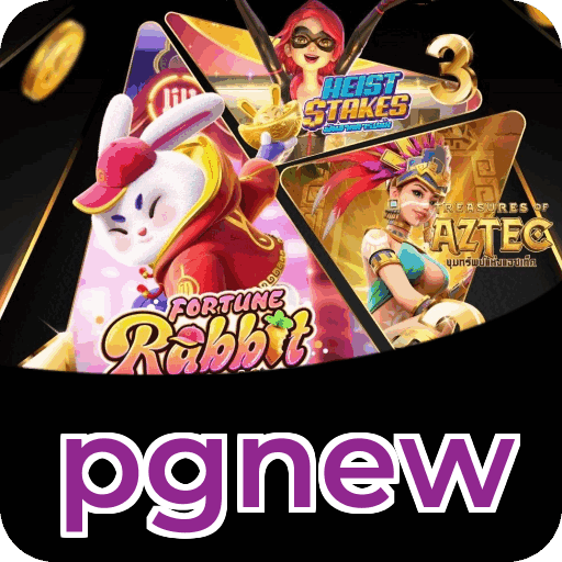 Sistema de Segurança Avançado pgnew - Criptografia e Proteção